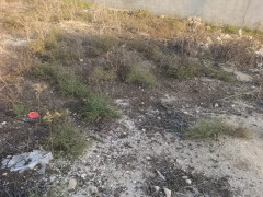 12 sot torpaq satış, Savalan q., Sabunçu r., Bakı ş. / şəkil 5 / 7