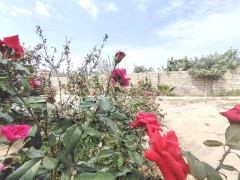 2 otaq 80 m² ev / villa satış, Maştağa q., Sabunçu r., Bakı ş. / şəkil 3 / 20