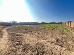 36 sot torpaq satış, Maştağa q., Sabunçu r., Bakı ş. / şəkil 2 / 4