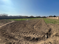 36 sot torpaq satış, Maştağa q., Sabunçu r., Bakı ş. / şəkil 3 / 4