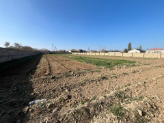 36 sot torpaq satış, Maştağa q., Sabunçu r., Bakı ş. / şəkil 4 / 4