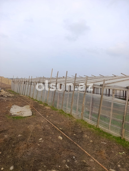 50 sot torpaq satış, Maştağa q., Sabunçu r., Bakı ş. / şəkil 1 / 18