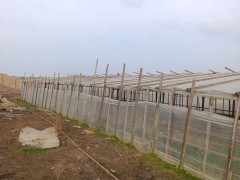 50 sot torpaq satış, Maştağa q., Sabunçu r., Bakı ş. / şəkil 1 / 18