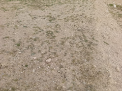 2 sot torpaq satış, Savalan q., Sabunçu r., Bakı ş. / şəkil 5 / 5