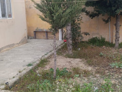 2 otaq 75 m² ev / villa satış, Maştağa q., Sabunçu r., Bakı ş. / şəkil 3 / 12