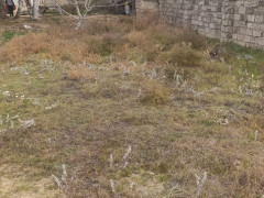 3 otaq 130 m² ev / villa satış, Maştağa q., Sabunçu r., Bakı ş. / şəkil 4 / 11