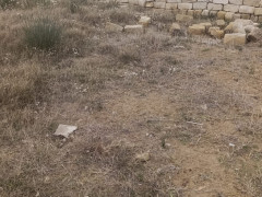 12 sot torpaq satış, Nardaran q., Sabunçu r., Bakı ş. / şəkil 4 / 6