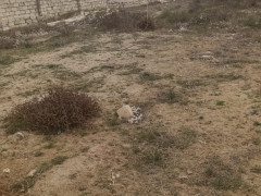 12 sot torpaq satış, Nardaran q., Sabunçu r., Bakı ş. / şəkil 5 / 6