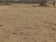 25 sot torpaq satış, Nardaran q., Sabunçu r., Bakı ş. / şəkil 2 / 5