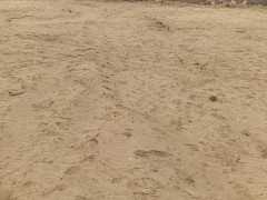 25 sot torpaq satış, Nardaran q., Sabunçu r., Bakı ş. / şəkil 3 / 5