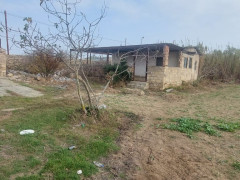 4 sot torpaq satış, Maştağa q., Sabunçu r., Bakı ş. / şəkil 3 / 3