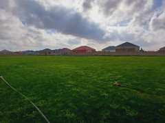 119.9 sot torpaq satış, Buzovna q., Xəzər r., Bakı ş. / şəkil 4 / 6