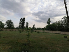 120 sot torpaq satış, Buzovna q., Xəzər r., Bakı ş. / şəkil 2 / 6