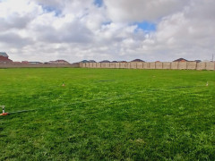 120 sot torpaq satış, Buzovna q., Xəzər r., Bakı ş. / şəkil 3 / 6