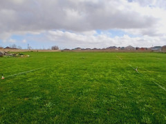 120 sot torpaq satış, Buzovna q., Xəzər r., Bakı ş. / şəkil 2 / 6