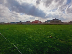 120 sot torpaq satış, Buzovna q., Xəzər r., Bakı ş. / şəkil 4 / 6