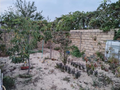 7 otaq 220 m² ev / villa satış, Pirşağı q., Sabunçu r., Bakı ş. / şəkil 3 / 20