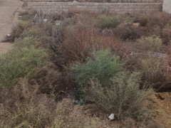 1 sot torpaq satış, Maştağa q., Sabunçu r., Bakı ş. / şəkil 1 / 3