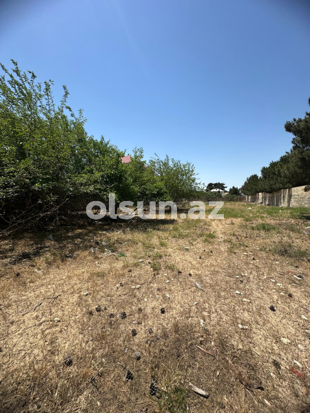 25 sot torpaq satış, Bilgəh q., Sabunçu r., Bakı ş. / şəkil 1 / 7