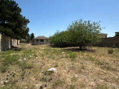 25 sot torpaq satış, Bilgəh q., Sabunçu r., Bakı ş. / şəkil 4 / 7