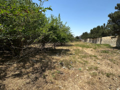 25 sot torpaq satış, Bilgəh q., Sabunçu r., Bakı ş. / şəkil 5 / 7