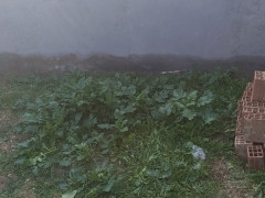 3 otaq 100 m² ev / villa satış, Savalan q., Sabunçu r., Bakı ş. / şəkil 2 / 15