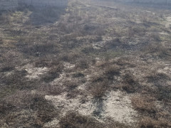 6 sot torpaq satış, Savalan q., Sabunçu r., Bakı ş. / şəkil 1 / 8