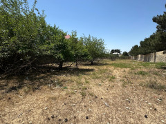 25 sot torpaq satış, Bilgəh q., Sabunçu r., Bakı ş. / şəkil 2 / 6