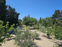 25 sot torpaq satış, Nardaran q., Sabunçu r., Bakı ş. / şəkil 5 / 11