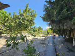 25 sot torpaq satış, Nardaran q., Sabunçu r., Bakı ş. / şəkil 1 / 4