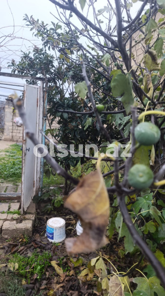 5 sot torpaq satış, Maştağa q., Sabunçu r., Bakı ş. / şəkil 1 / 7