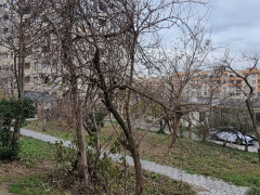 3 otaq 680 m² obyekt satış, Suraxanı r., Bakı ş. / şəkil 3 / 11