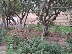 5 otaq 130 m² ev / villa satış, Maştağa q., Sabunçu r., Bakı ş. / şəkil 5 / 10