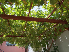 2.7 sot torpaq satış, Maştağa q., Sabunçu r., Bakı ş. / şəkil 3 / 8