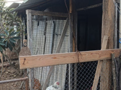 5 otaq 143 m² ev / villa satış, Savalan q., Sabunçu r., Bakı ş. / şəkil 4 / 16