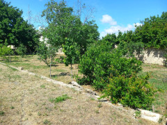 16 sot torpaq satış, Ceyranbatan q., Abşeron r., Bakı ş. / şəkil 4 / 12