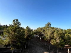 24 sot torpaq satış, Mərdəkan q., Xəzər r., Bakı ş. / şəkil 2 / 7