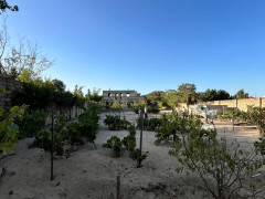 24 sot torpaq satış, Mərdəkan q., Xəzər r., Bakı ş. / şəkil 4 / 7