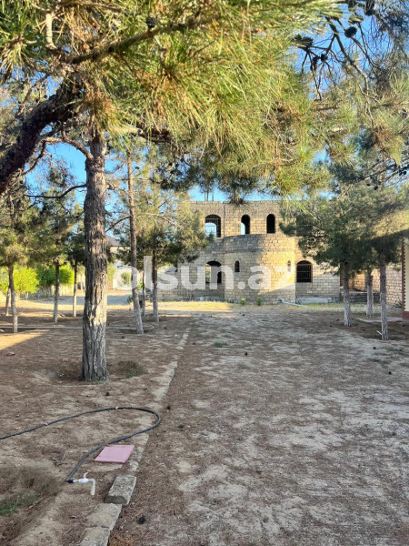 24 sot torpaq satış, Mərdəkan q., Xəzər r., Bakı ş. / şəkil 1 / 20