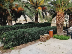 22 otaq 2000 m² ev / villa satış, Buzovna q., Xəzər r., Bakı ş. / şəkil 2 / 14