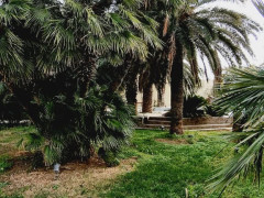 22 otaq 2000 m² ev / villa satış, Buzovna q., Xəzər r., Bakı ş. / şəkil 3 / 14