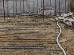 1.5 sot torpaq satış, Maştağa q., Sabunçu r., Bakı ş. / şəkil 2 / 4