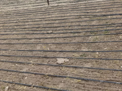 1.5 sot torpaq satış, Maştağa q., Sabunçu r., Bakı ş. / şəkil 4 / 4