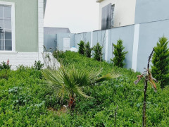 4 otaq 130 m² ev / villa satış, Buzovna q., Xəzər r., Bakı ş. / şəkil 1 / 20