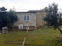 38 sot torpaq satış, Buzovna q., Xəzər r., Bakı ş. / şəkil 5 / 12