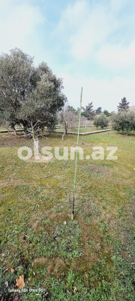 25 sot torpaq satış, Buzovna q., Xəzər r., Bakı ş. / şəkil 1 / 15