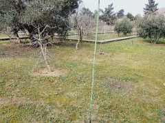 25 sot torpaq satış, Buzovna q., Xəzər r., Bakı ş. / şəkil 1 / 15