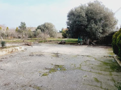 25 sot torpaq satış, Buzovna q., Xəzər r., Bakı ş. / şəkil 4 / 15