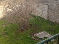 5 otaq 200 m² ev / villa satış, Maştağa q., Sabunçu r., Bakı ş. / şəkil 2 / 15