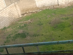 5 otaq 200 m² ev / villa satış, Maştağa q., Sabunçu r., Bakı ş. / şəkil 3 / 15